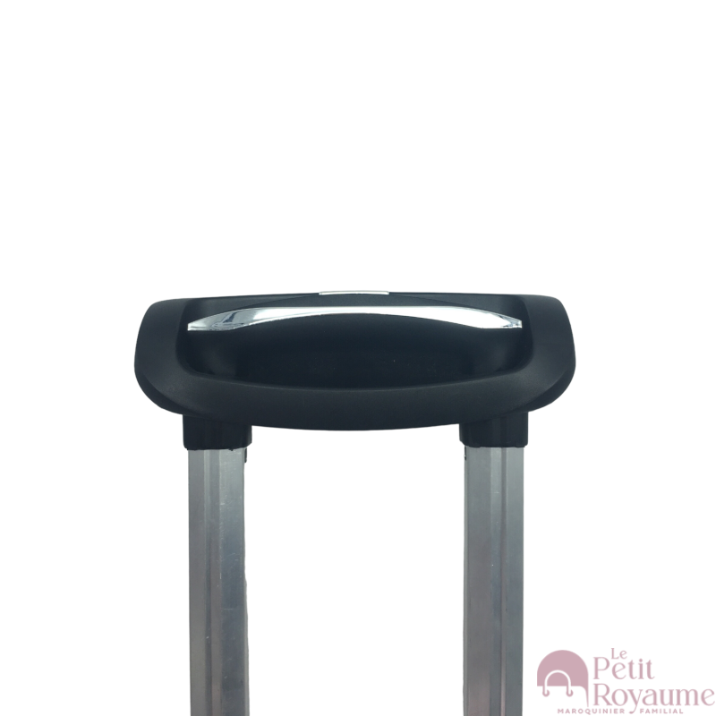 Telescopique handles