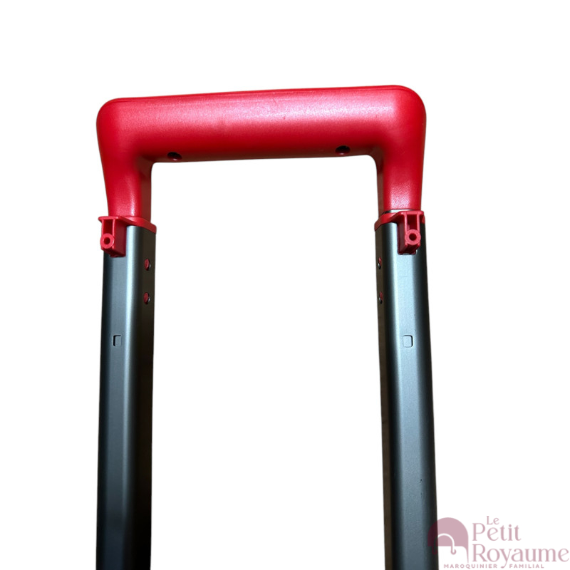 Lugagge Telescopic Handle (56 x 16 cm) suitable for Delsey Moncey 78cm