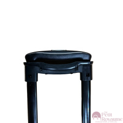 Tige Télescopique (65cm × 16,2 cm) avec poignée compatible Delsey Air armor
