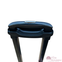 Tige Télescopique (65cm × 16,2 cm) avec poignée compatible Delsey Air armor
